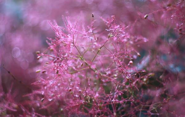 BrandFlash Photography - Image 4